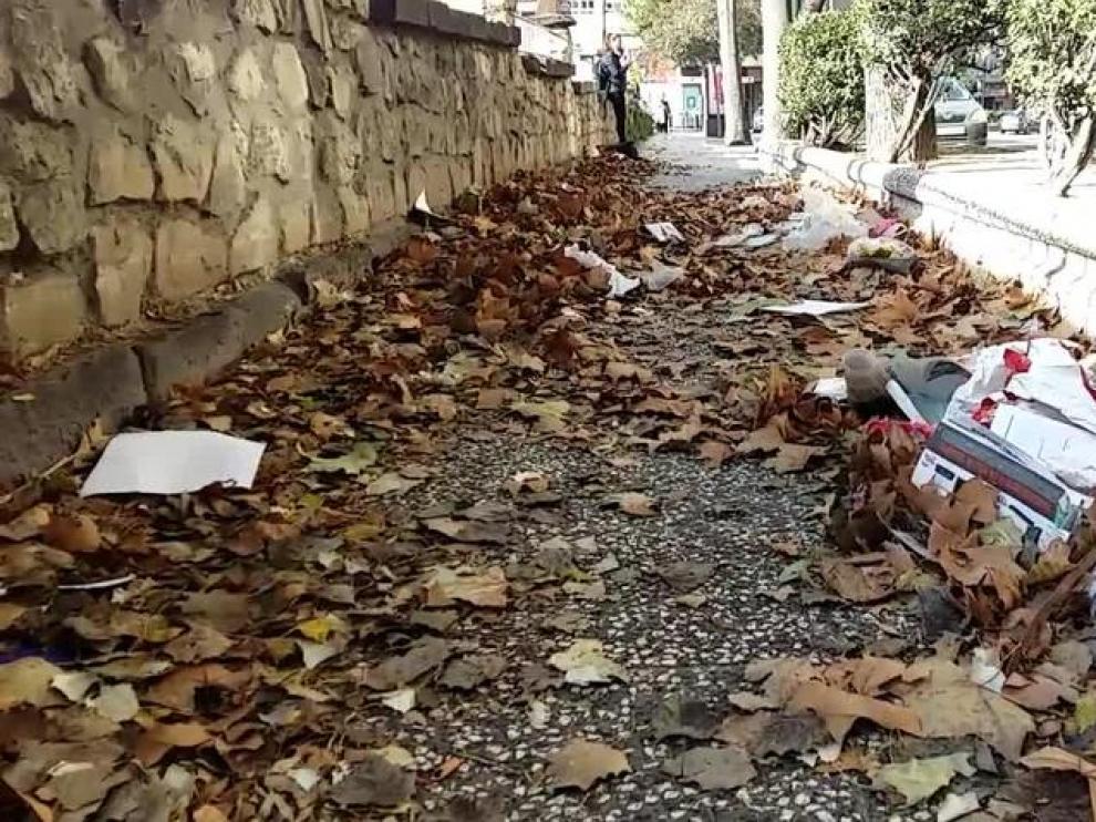 El cierzo extiende una alfombra desperdicios en Zaragoza