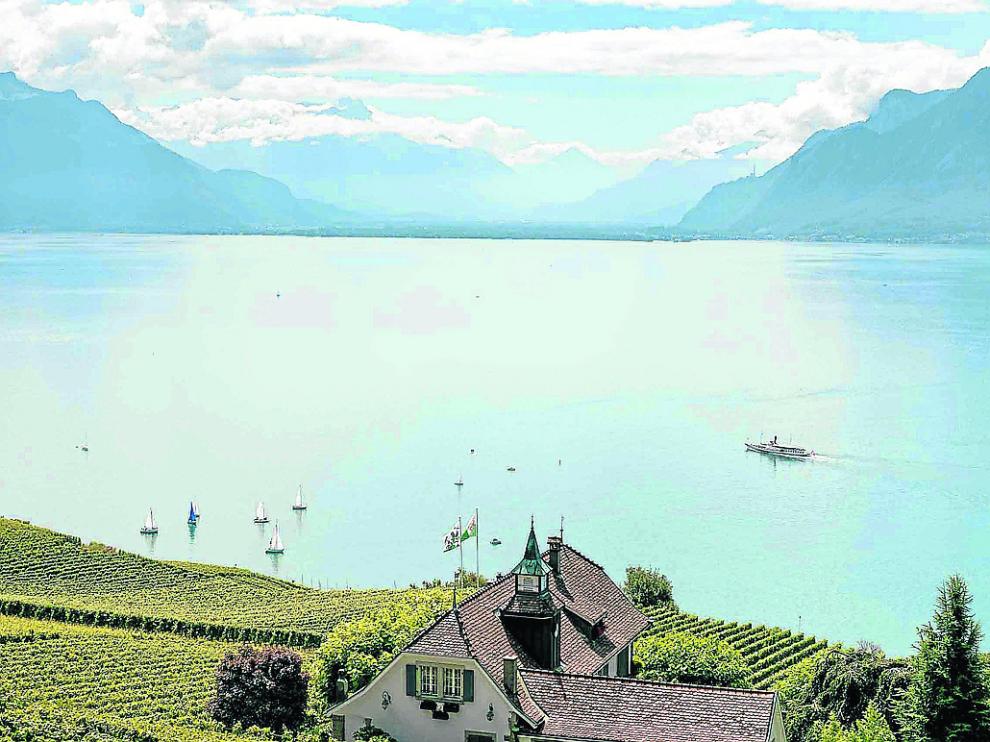 Viñedos en terraza típicos a orillas del lago Lemán, en el cantón suízo de Vaud.
