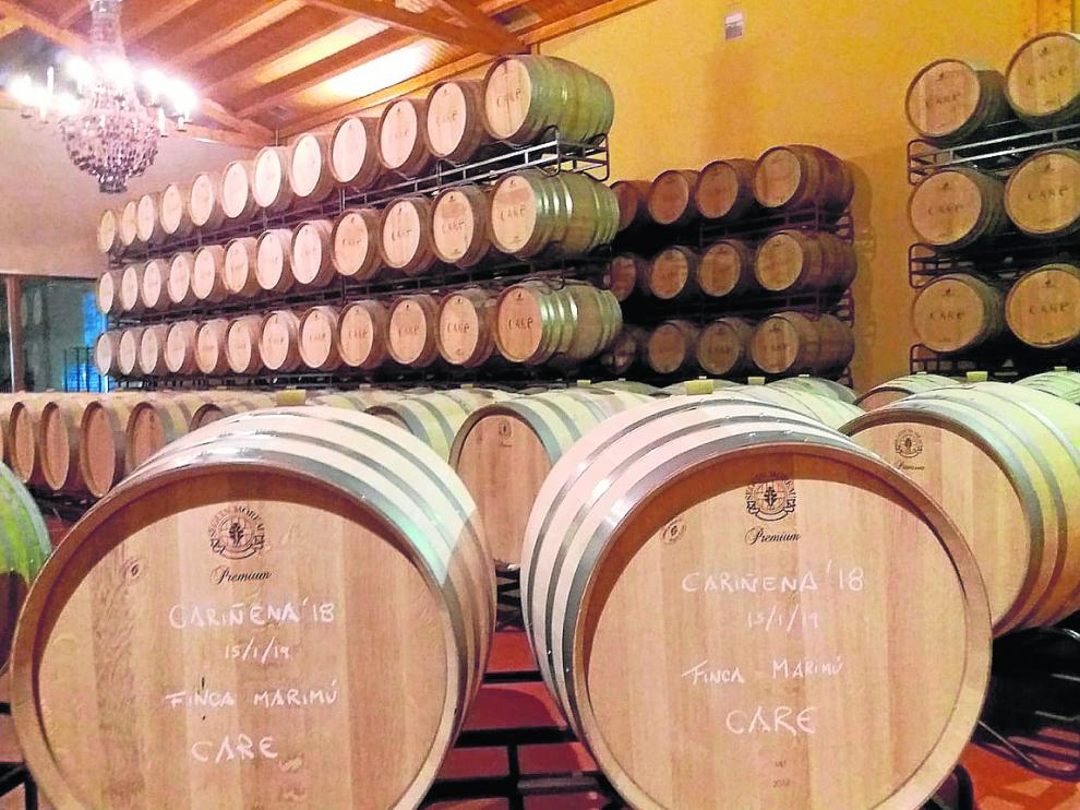 El nuevo vino elaborado con las uvas cariñena de la vendimia de 2018 ya reposa en barricas.