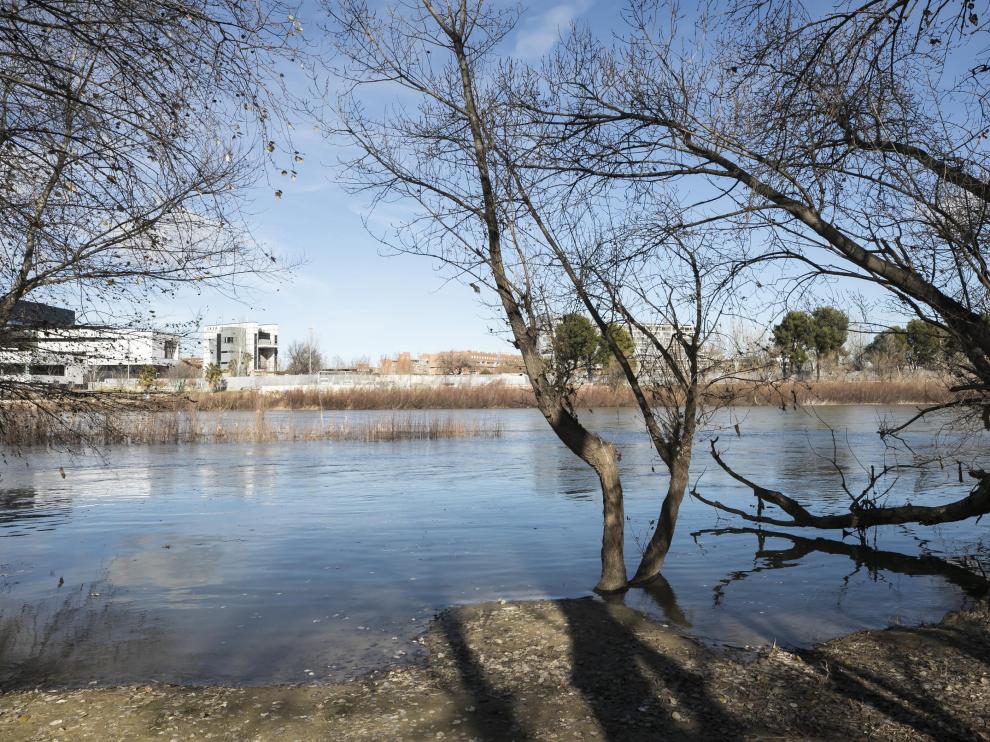 El Ebro comienza a crecer a su paso por Zaragoza.