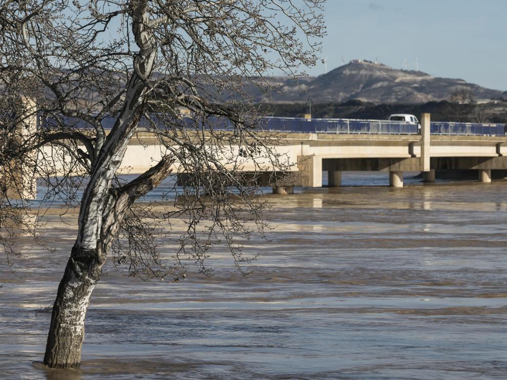 Zaragoza se prepara para la llegada de la crecida del Ebro