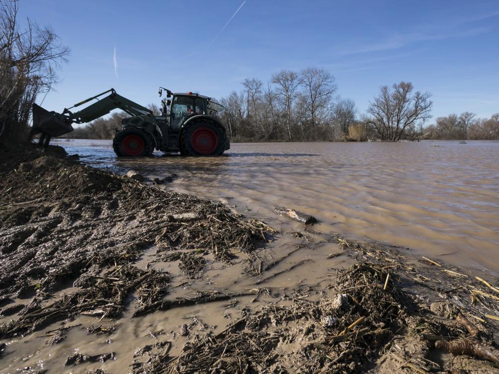 Una imagen de la crecida del Ebro este sábado en la Ribera Alta.