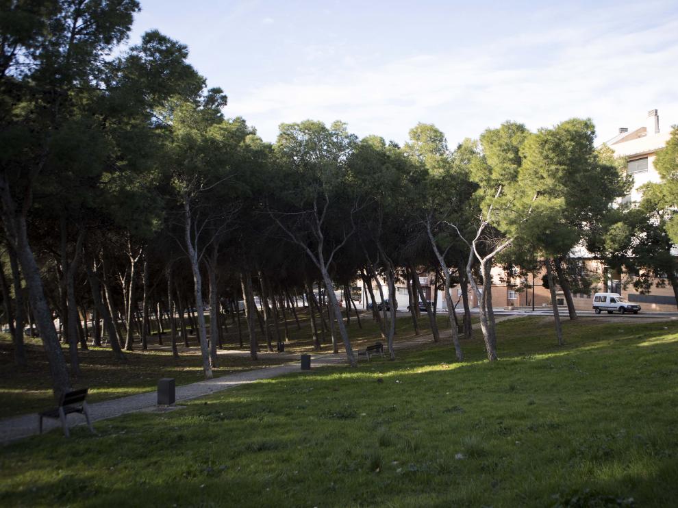 Imagen de parte de la parcela, junto a la calle Cuarta Avenida, convertida en un parque de pinar.