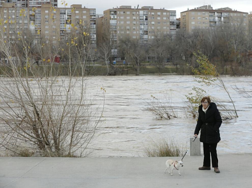 La crecida del Ebro a su paso por Zaragoza.