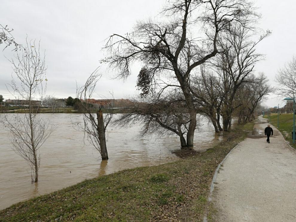 La crecida del Ebro llega a Zaragoza