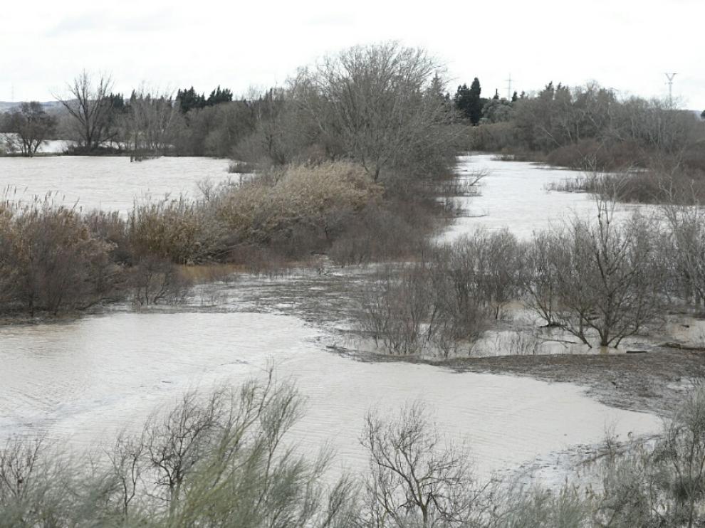 La crecida del Ebro, a su paso por El Burgo de Ebro.