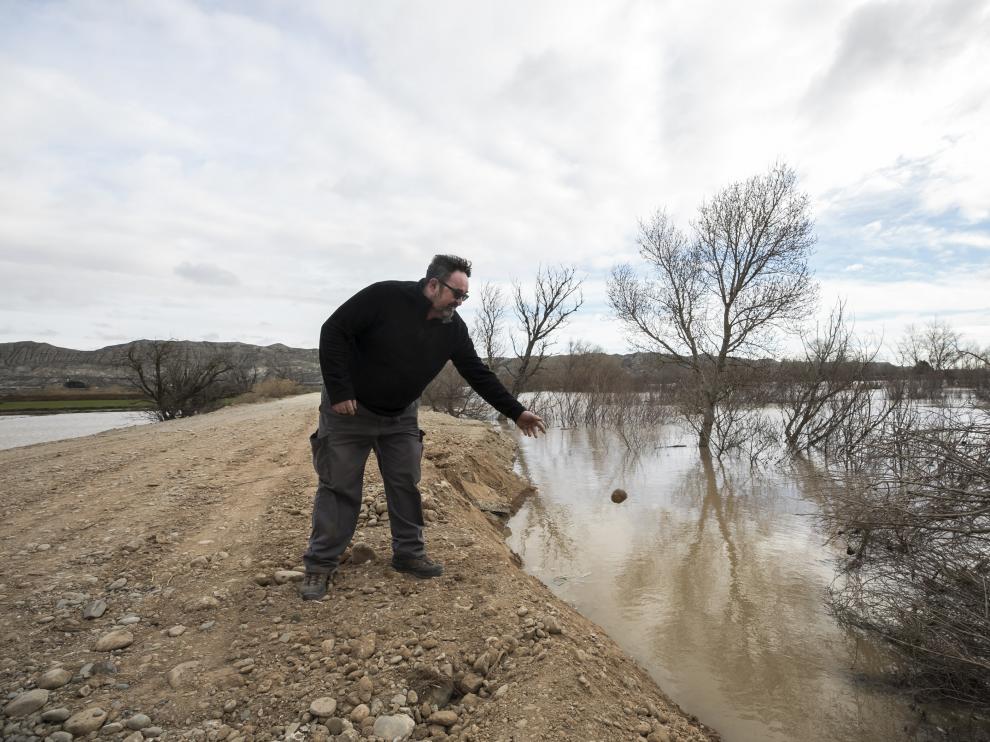 Imagen de la mota de Villafranca durante la última avenida ordinaria del Ebro