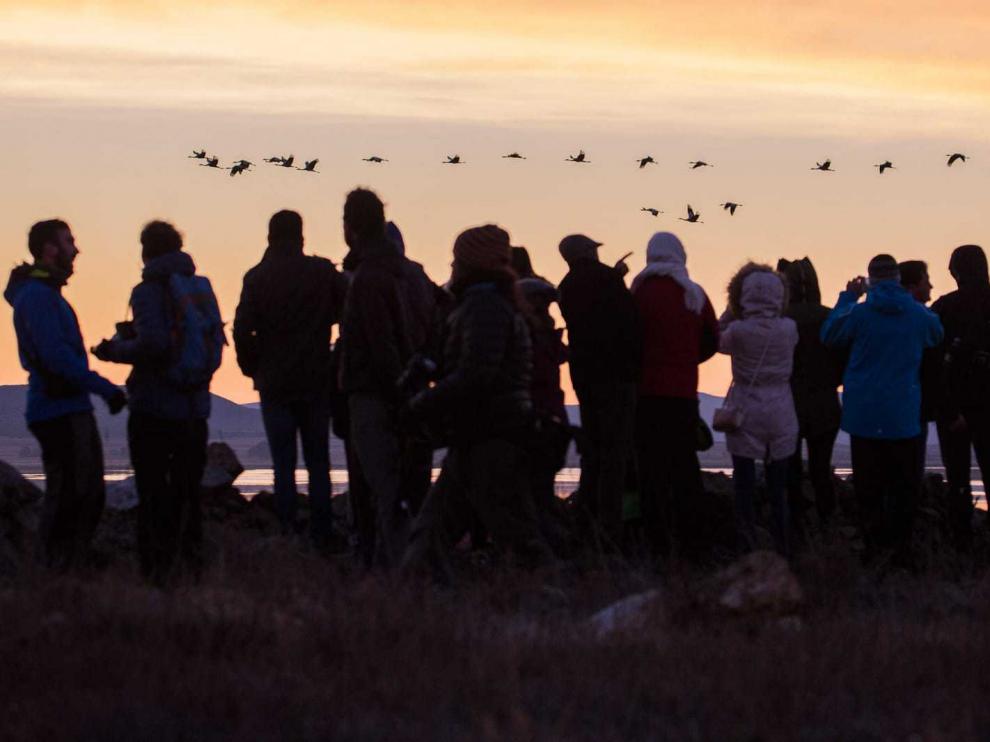 Numerosas personas observan a las grullas en la laguna de Gallocanta.