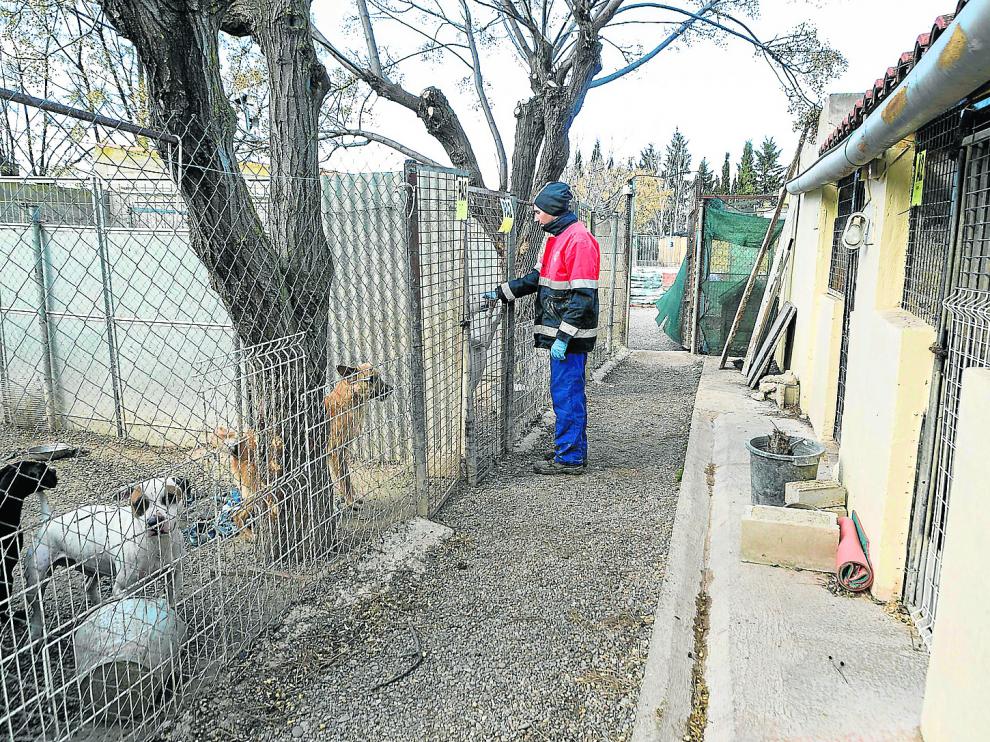 La saturación de la perrera hace que los parques de recreo (izquierda), sin techo y muy precarios, se usen como alojamientos fijos