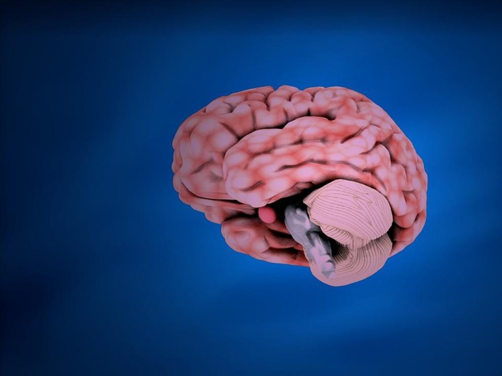 Un estudio apunta que las mujeres tienden a permanecer mentalmente agudas durante más tiempo que los hombres