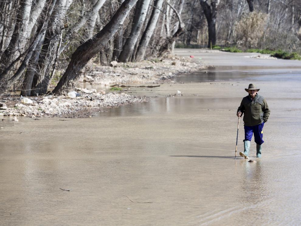 Un agricultor de Boquiñeni revisa la zona inundada por el río Ebro, en una foto de 2016.