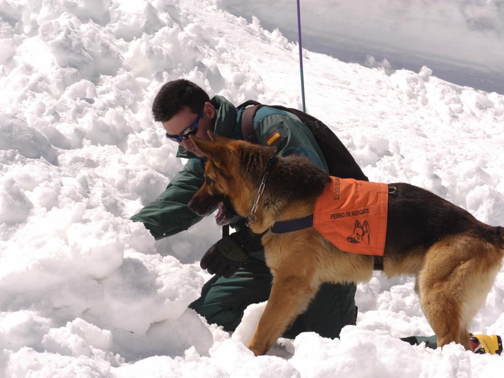 El cabo Sergio Orna, haciendo un ejercicio con su perro de rescates Arnold