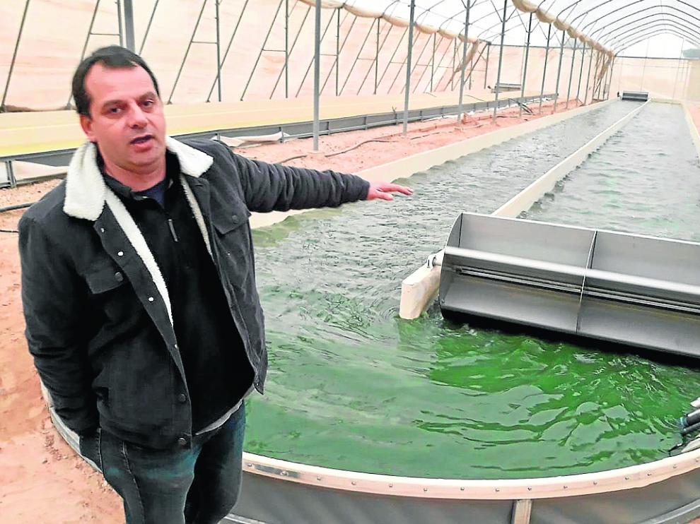 Yair Kohn, investigador de acuicultura, ante el tanque de cultivo de algas de la planta de Israel.