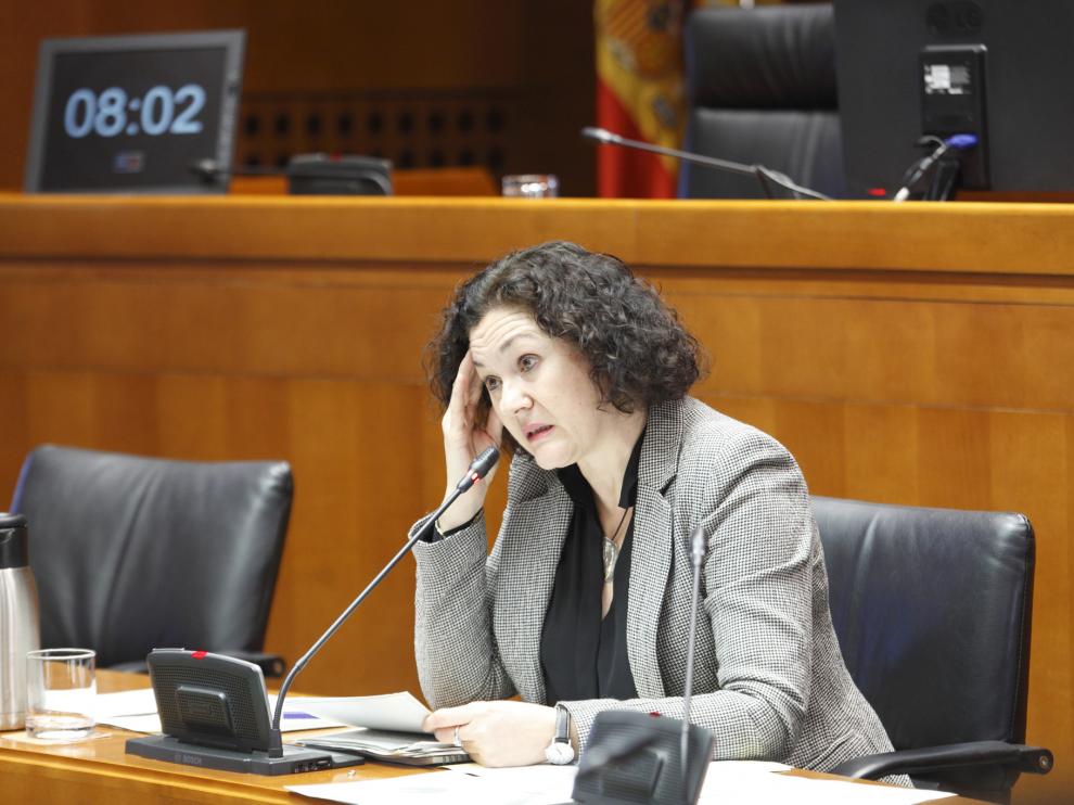 La directora general de Sostenibilidad, ayer en las Cortes