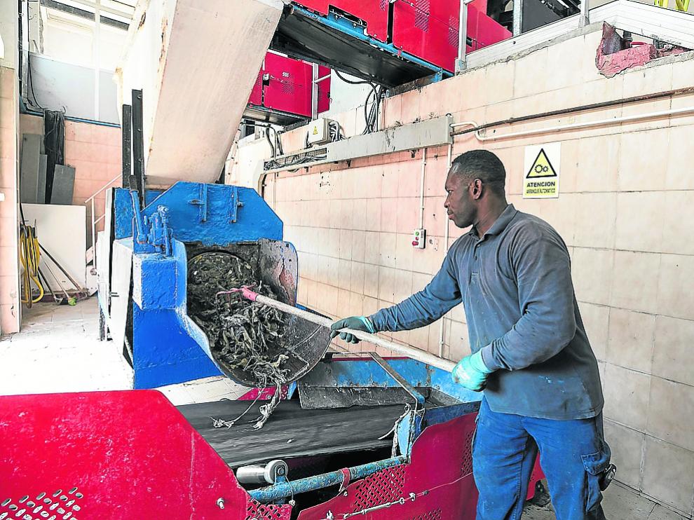 Uno de los trabajadores de la planta potabilizadora de La Almozara retira restos de toallitas.