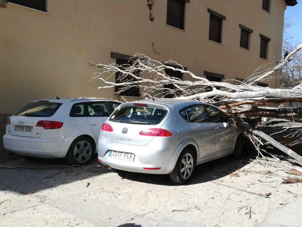 El árbol se ha desplomado sobre dos coches aparcados en Rubielos.