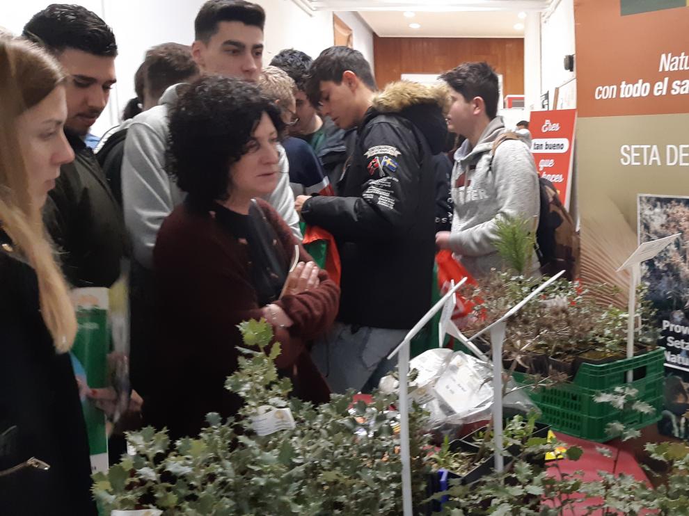 Numerosos jóvenes asisten a la Feria de Empleo organizada para celebrar el 50 aniversión del CPIFP Movera