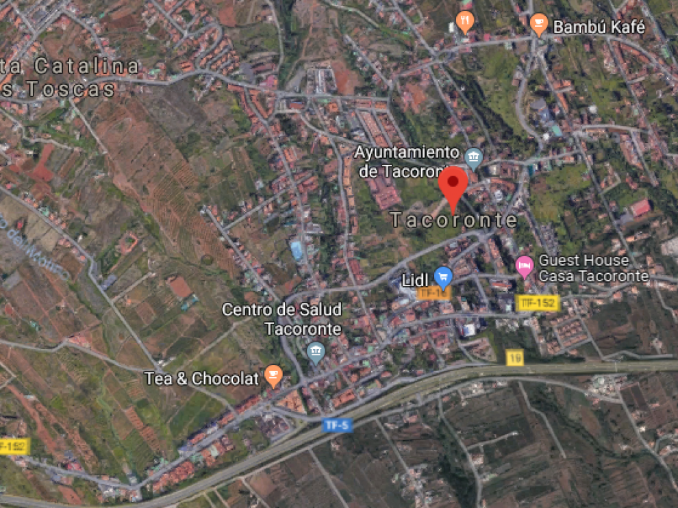 La plaga de termitas que se ha detectado sobre todo en el municipio de Tacoronte.