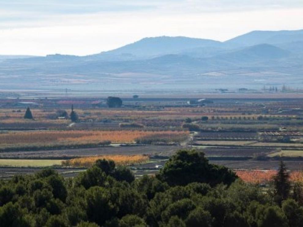 La Almunia limpiará caminos rurales en marzo.
