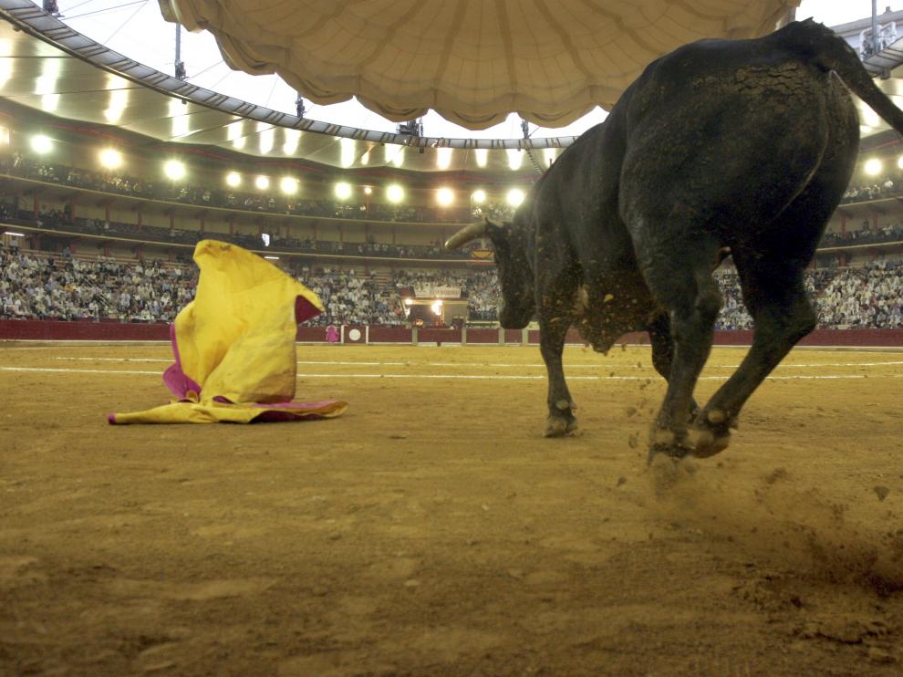 Toro de Miura en la plaza de toros de Zaragoza.