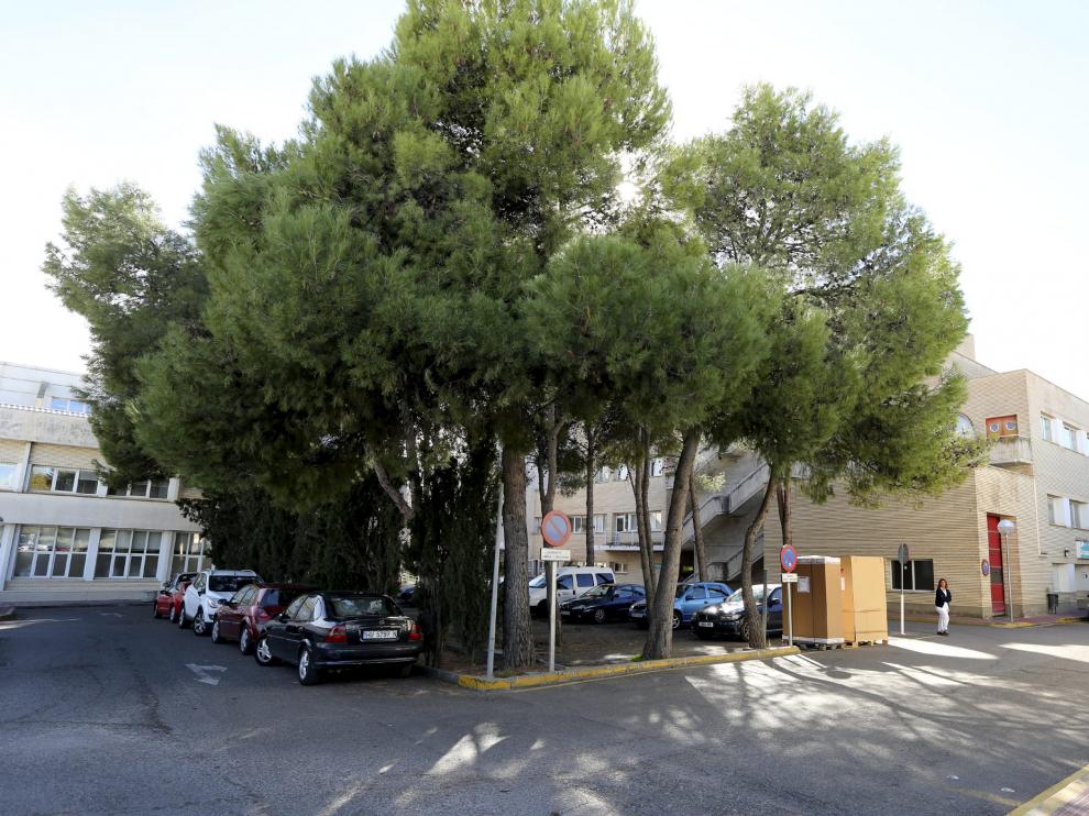 Zona de pinos junto al hospital San Jorge de Huesca donde se prevé construir el nuevo edificio de Urgencias.