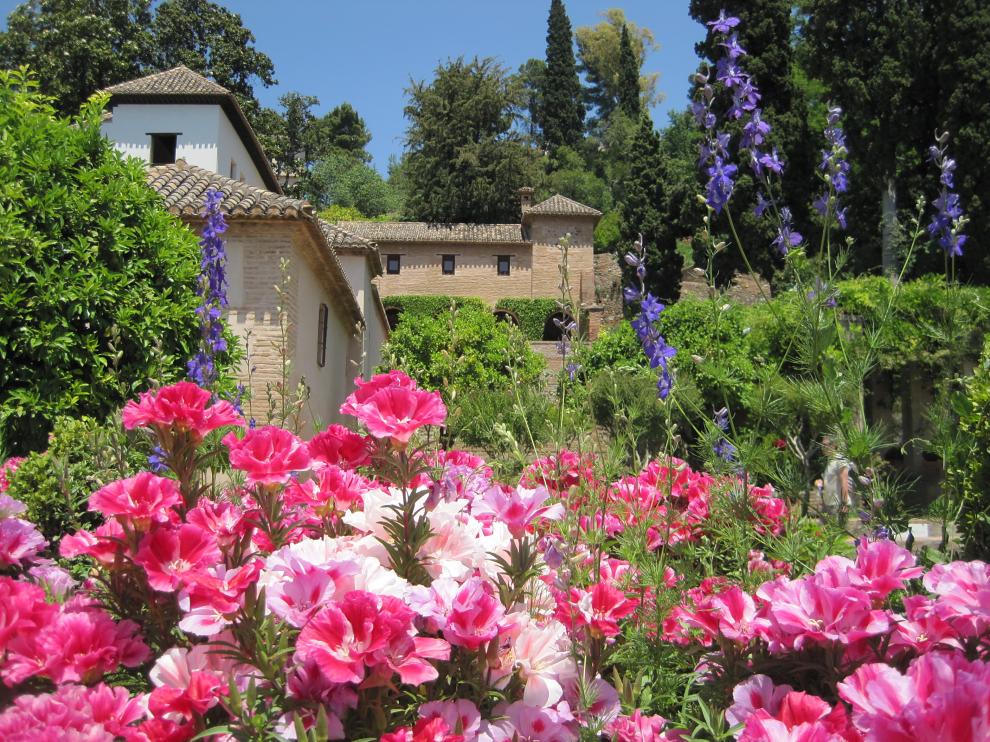 Si las flores están en su ubicación correcta, durarán mucho tiempo