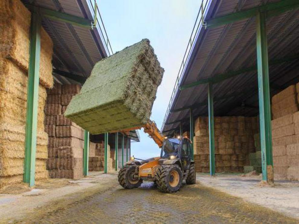 Una cooperativa aragonesa dedicada a la producción de alfalfa deshidratada