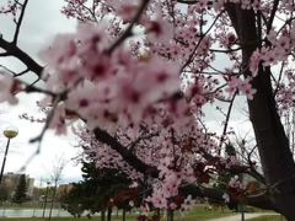 La Primavera Arranca Este Miercoles Con 4 Planetas Dominantes Y Luna Llena