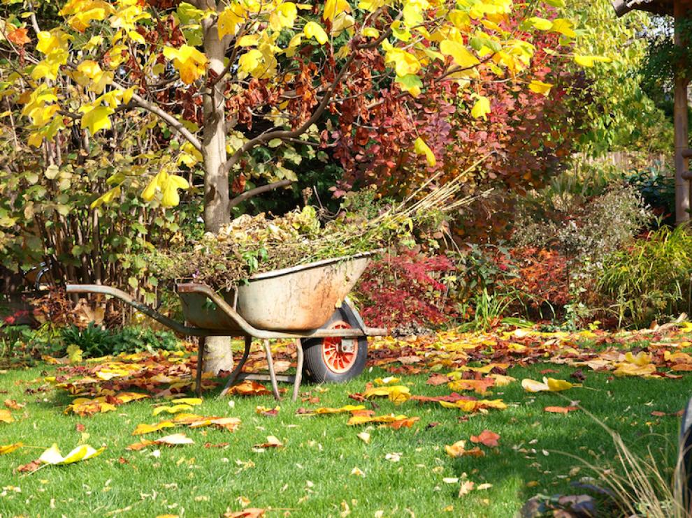 top-ten-autumn-tips-lead