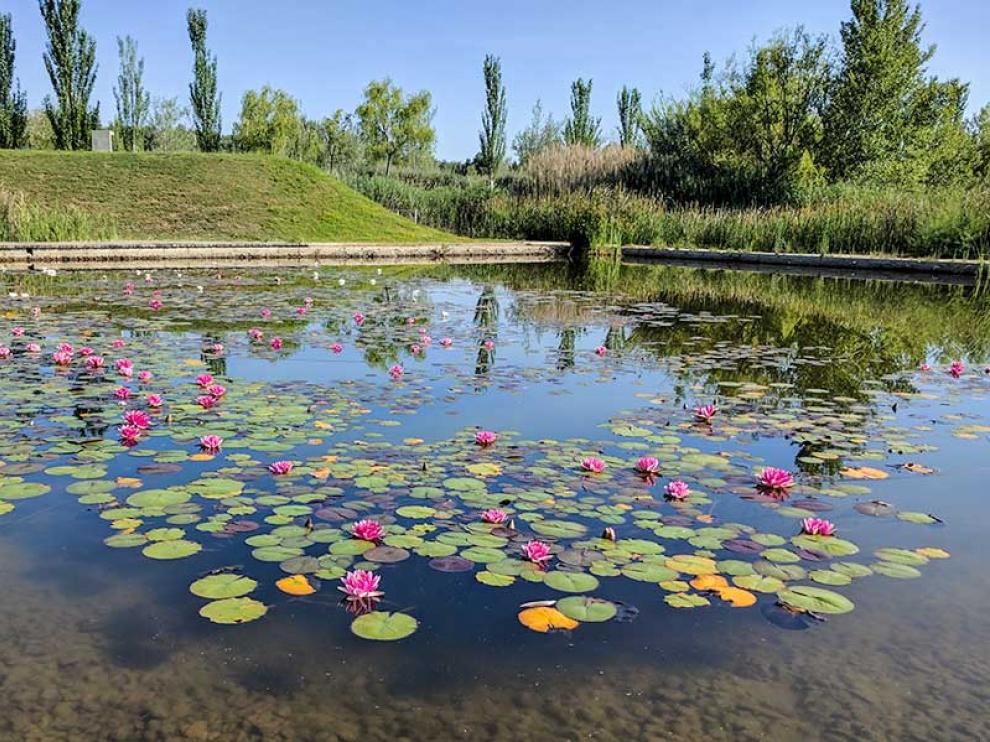 parquedelagua