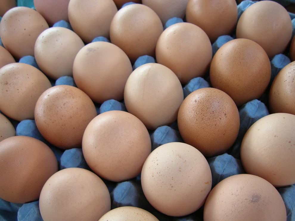 Cinco de las grandes superficies españolas han notificado que en 2025 dejarán de vender huevos de gallinas en jaula (tipo 3).