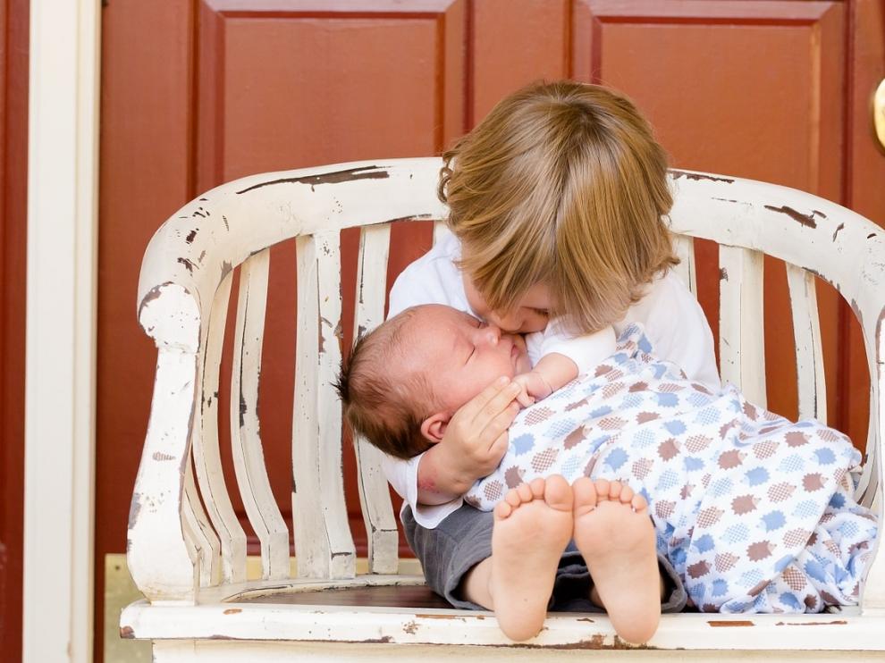 brothers-457234_1280