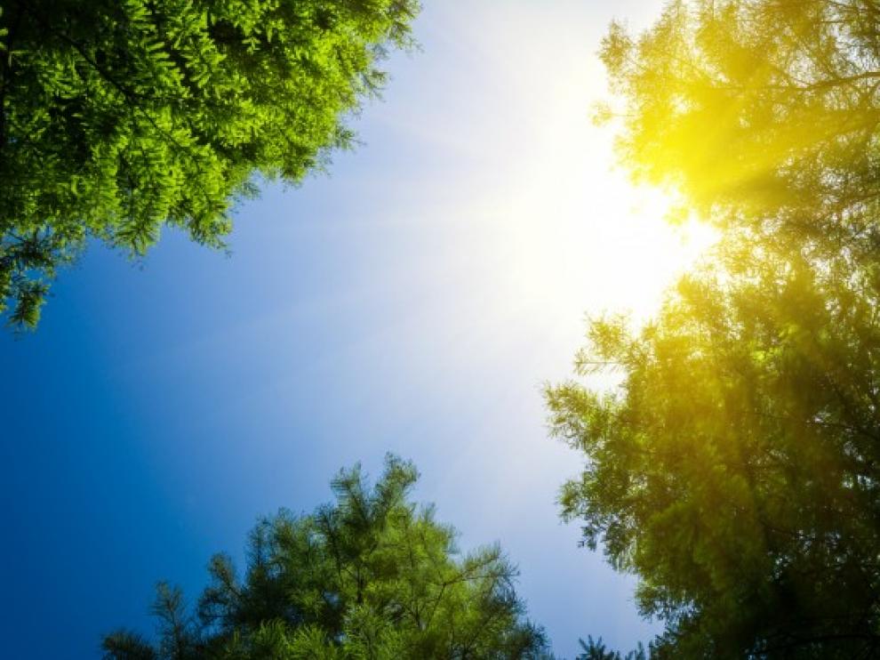 Sol