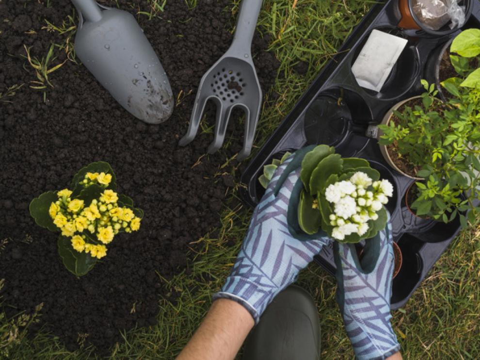 gardening