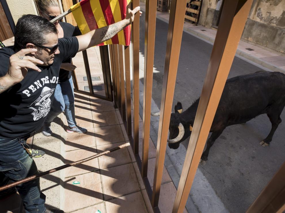 premios-toros-pedrola-noticia2