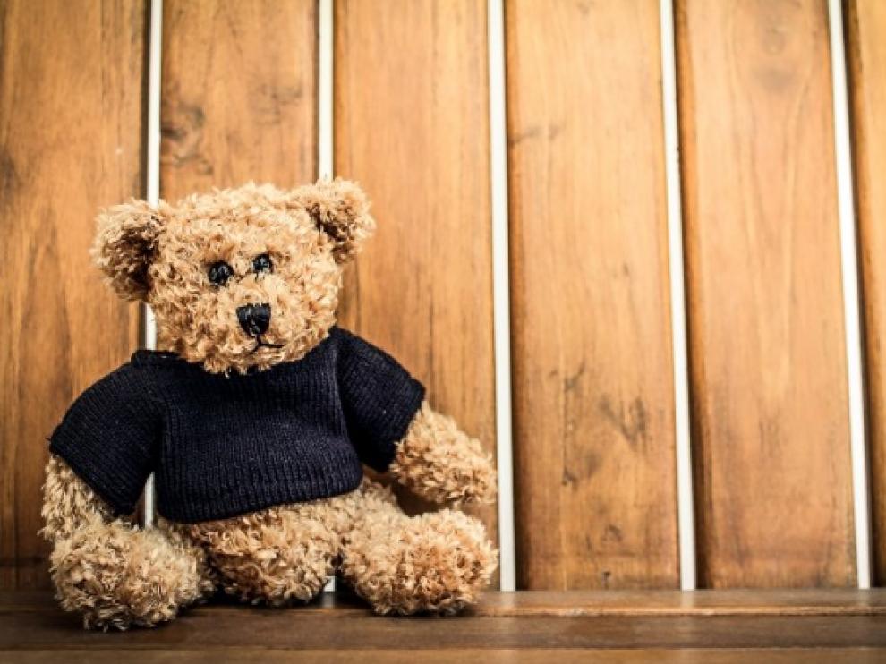 oso-peluche_1155-54