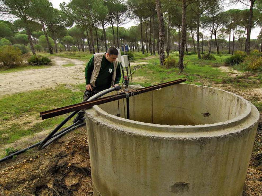 Pozo ilegal en Doñana