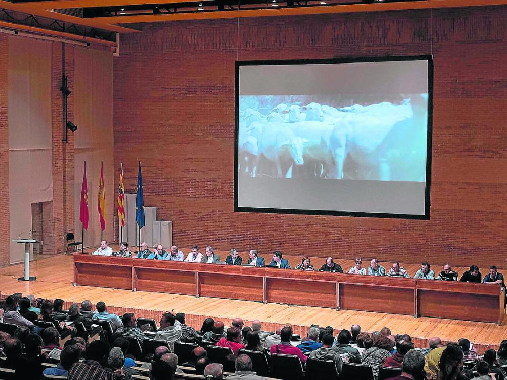 Asamblea general de socios de Oviaragón-Grupo Pastores, ayer en la Feria de Zaragoza.