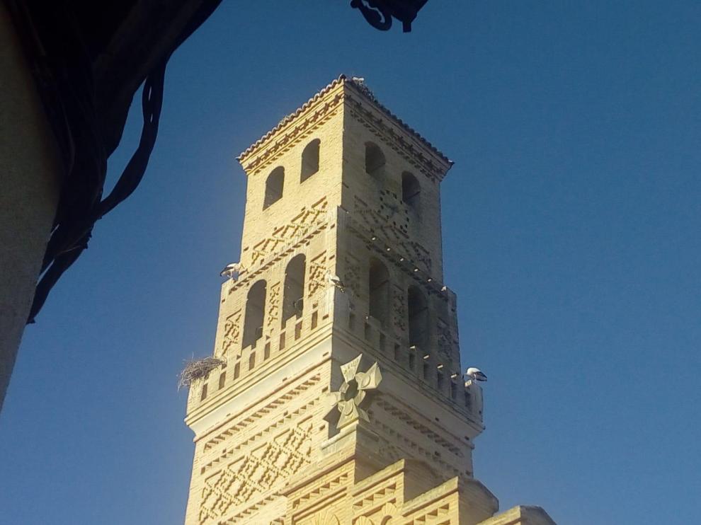nidos de cigüeña