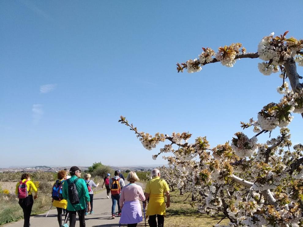 La Almunia