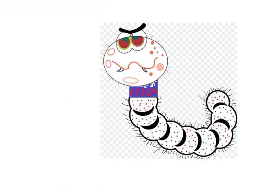 gusano