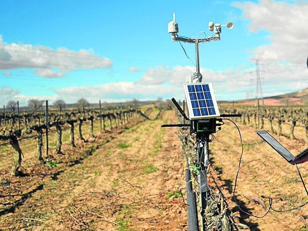 Las tecnologías digitales más avanzadas se van abriendo paso entre la agricultura mundial, en especial en los países más desarrollados.
