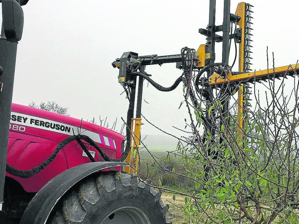 Maquinaria y equipo para la realización de la ‘poda aragonesa’, realizada por la empresa caspolina El Vivero de Abel.