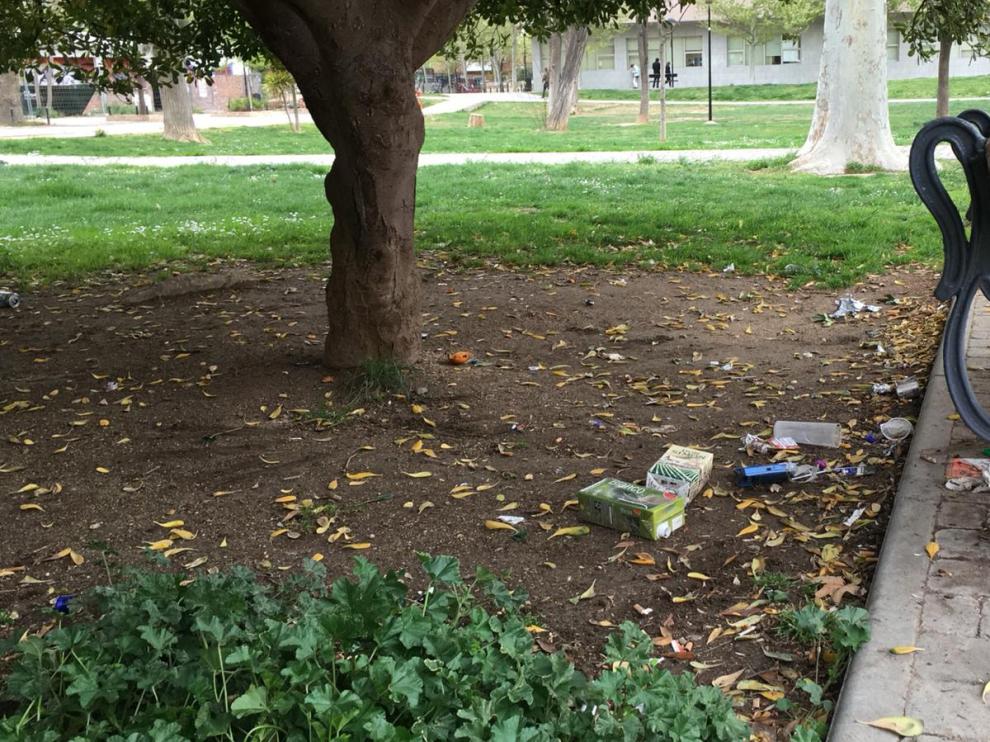 La basura crece junto a los árboles singulares del parque Bruil.