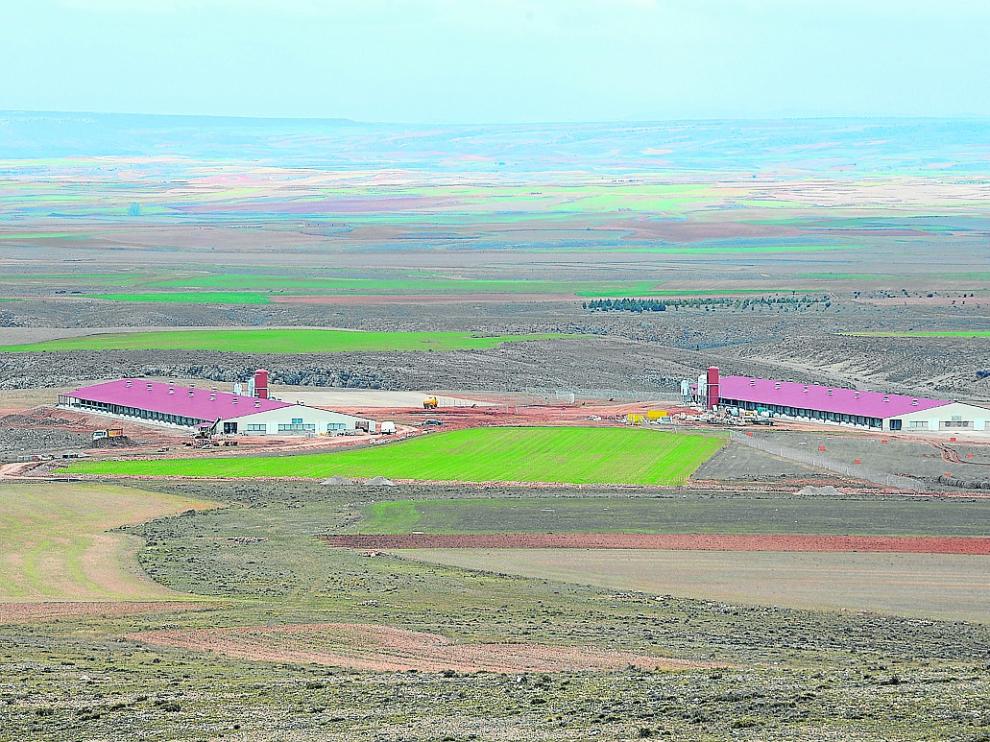 La granja de Huevos Guillén en Perales del Alfambra avanza en sus obras de construcción.