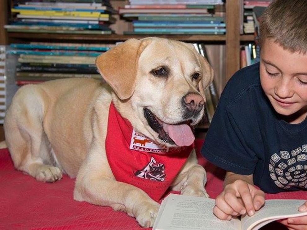 Perros que ayudan a los niños a leer