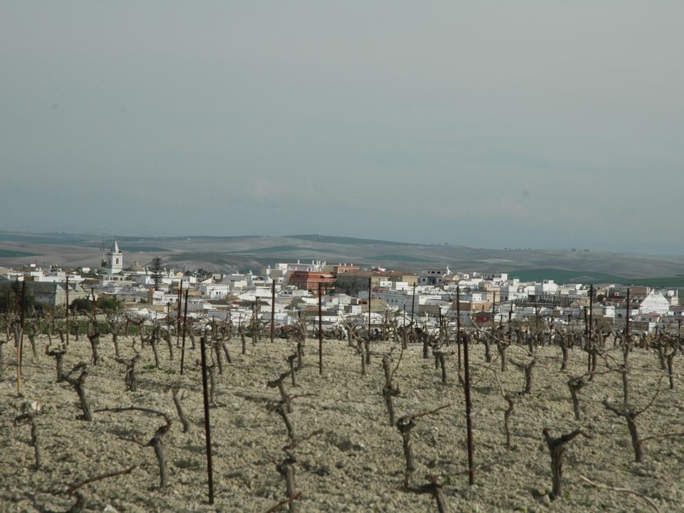 El municipio gaditano de Trebujena, de 7.000 habitantes.