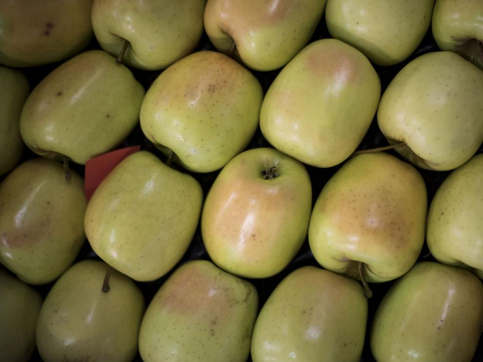 Las extraordinarias propiedades del agua en su balneario cambian la tradicional acepción de este verbo; en el otro extremo de la localidad, Frutas Erruz produce peras y manzanas de lujo.