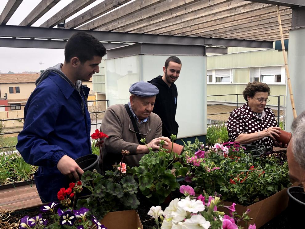 Compartiendo conocimientos, en el invernadero de Producción Agropecuaria