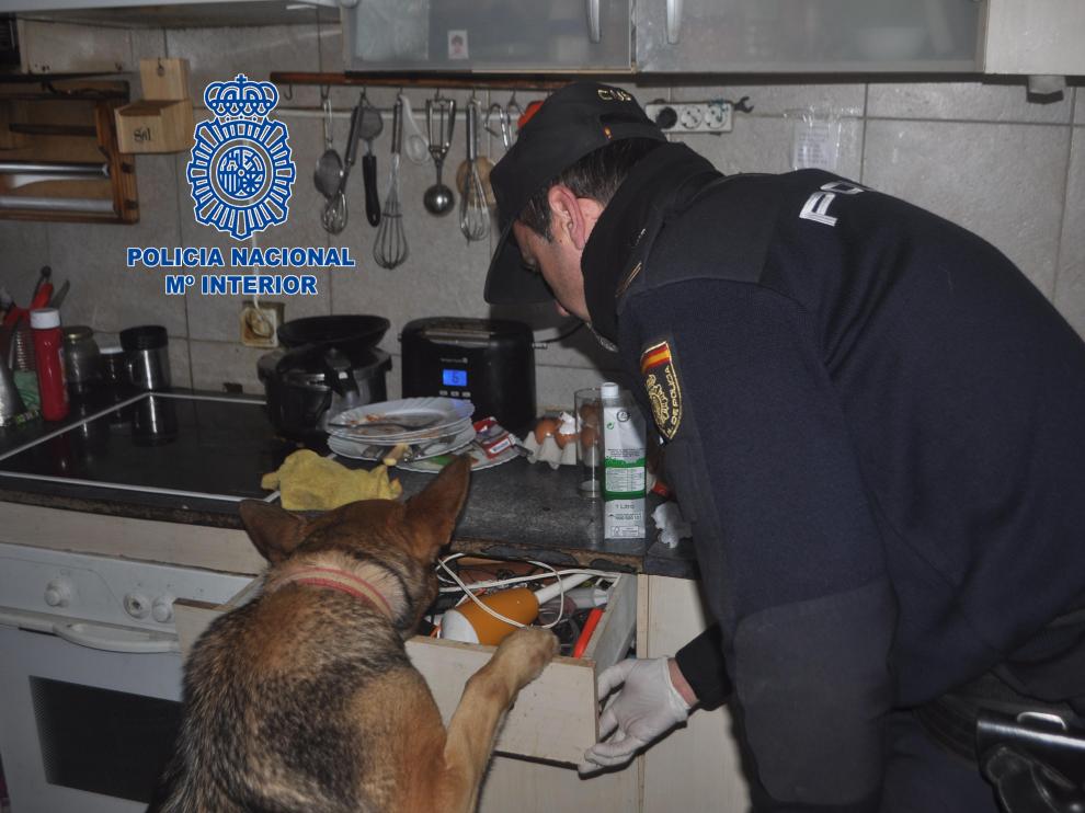 Un agente y un perro policía inspeccionan las instalaciones de la banda.